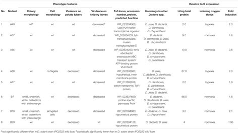 Frontiers Oxygen Availability Influences Expression Of Dickeya Solani Genes Associated With