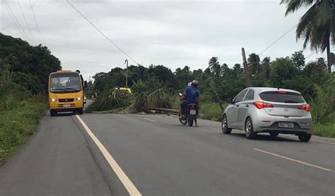 Barra Grande Fica Sem Energia Ap S Vento Derrubar Postes Em Maragogi