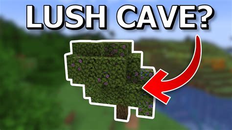 How To Find Lush Caves In Minecraft 118 Fastest Method Youtube