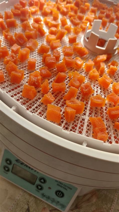 Сушарка Ezidri Ultra FD1000 Simple