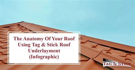 Roof Anatomy Where Roof Underlayment Fits In