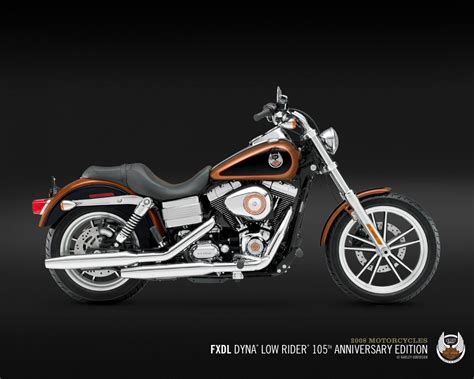 2008 Harley Davidson Fxdl Dyna Low Rider Motozombdrivecom