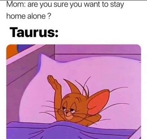 Hilarious Taurus Memes That Are Basically Facts Our Mindful Life