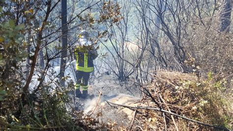 Vasto Incendio Boschivo Tra Cipressa E Lingueglietta Fiamme Vicino