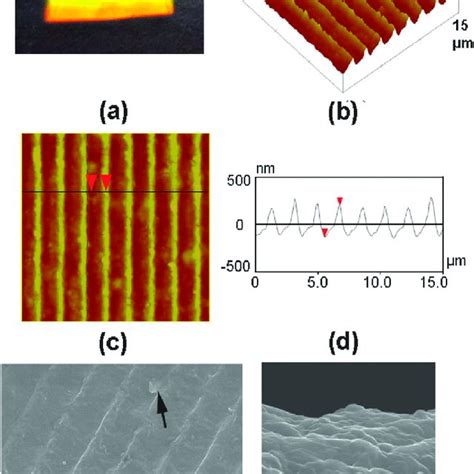 Optical Images Of A And B Flat Metal Embedded PDMS Stamps And C And