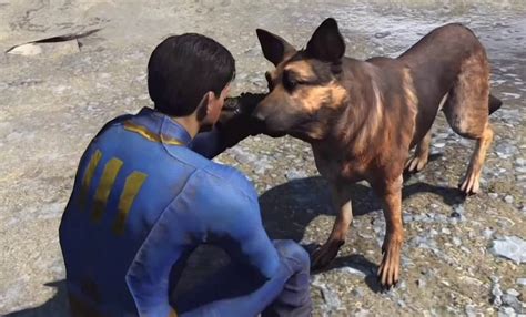 Guía Completa De Ubicación De Fallout 4 Companions Dónde Encontrar Todos Los Compañeros Y