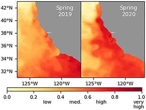 Frontiers | State of the California Current 2019–2020: Back to the