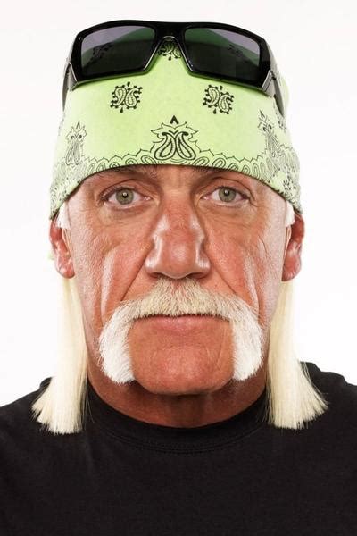 Hulk Hogan About Entertainmentie