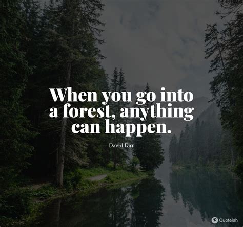 30+ Forest Quotes - QUOTEISH