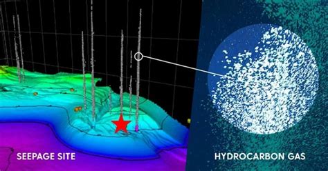 Deep Sea Microbes New Research Looks At Life Inside And Outside Of