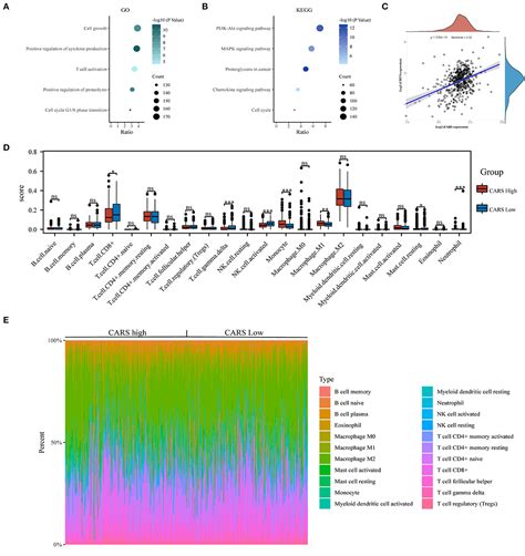 Frontiers Comprehensive Analysis Of Ferroptosis Regulators With