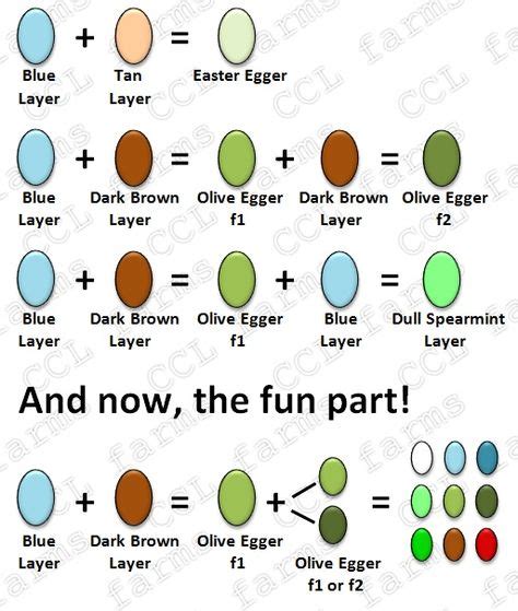 Color Egg Chart Eggs Easter Munchkintime Dm