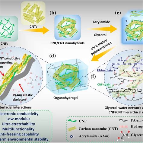 Ab Schematics Illustrating The Preparation Of The Cnfcnt Nanohybrids