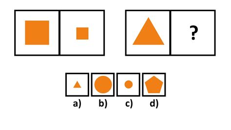 The Cat Cognitive Abilities Test Complete Guide