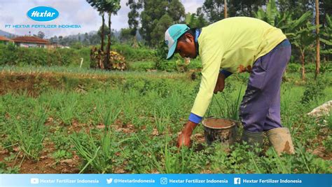 Mengenal Prinsip Pemupukan Berimbang DGW Fertilizer