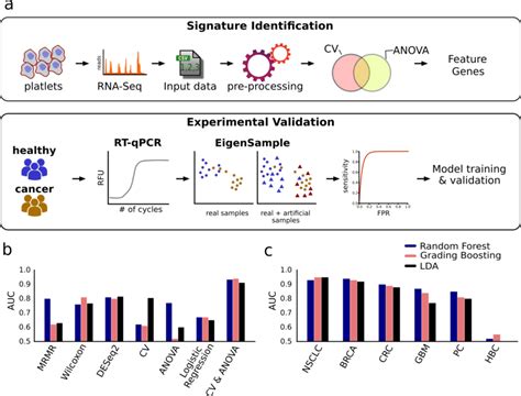 Schematic Representation Of Workflow And Discovery Of Gene Signature