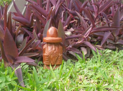 Momoy: ¿Qué es un Momoy?