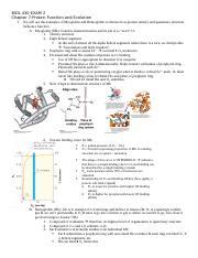 BIOL 430 EXAM 2 Study Guide Docx BIOL 430 EXAM 2 Chapter 7 Protein