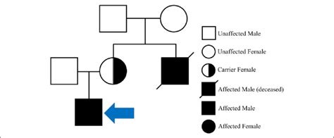 Haemophilia Pedigree Chart