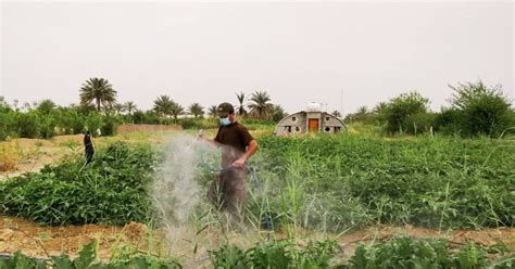 Agri Tech Solutions For Better Climate Resilience In Displacement