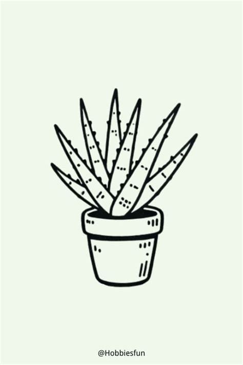 🪴20 Easy Plant Drawing Ideas