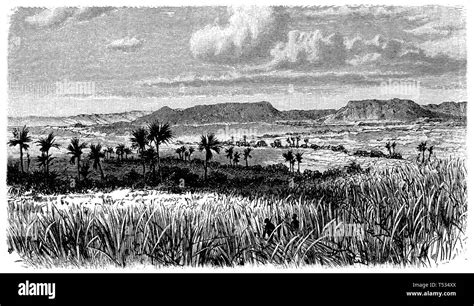 Plateau Of Mato Grosso Anonym 1897 Stock Photo Alamy