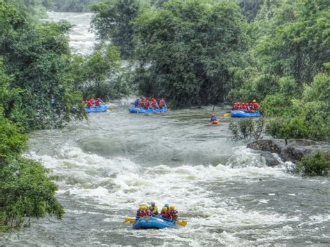 Waterfall Rappelling Coorg Adventure Activities From Gobananas India