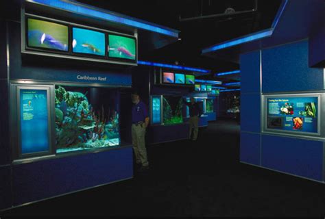 National Aquarium in Baltimore by David R Miller at Coroflot.com