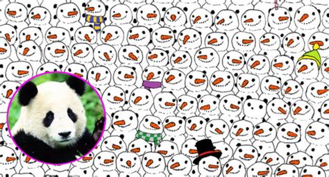 Reto Visual Encuentra Al Oso Panda Escondido Entre Los Mu Ecos De