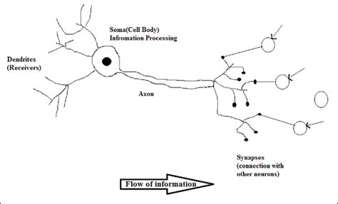 Artificial Neural Network Basic Concepts