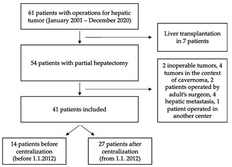 Flow Chart Of Included And Excluded Patients Download Scientific Diagram