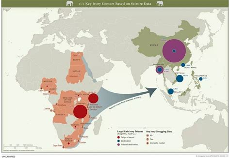 Ivory Trade Image By Kevin Shoultz On Data Visualization Geo Spatial