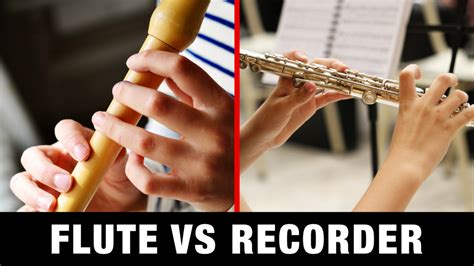 Flute vs Recorder – Which is Best for You? – Professional Composers