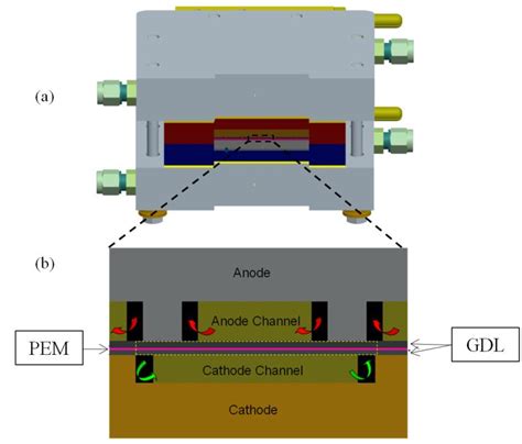 A Schematic Of Assembled Pemfc And B Of Revealed Cathode And Anode