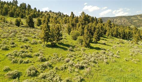 970 acres in Park County, Montana