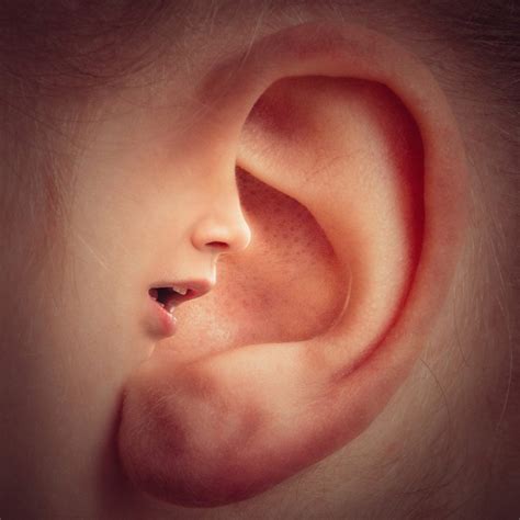 Know About Different Types Of Ear Infections