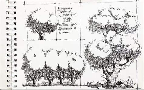 Скетч деревья Рисунки ландшафт Рисунки Рисунок