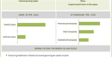 Artificial Cornea and Corneal Implant Market