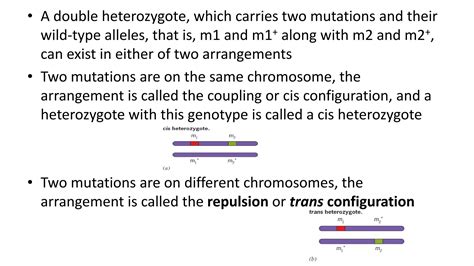 Complementation Test Ppt