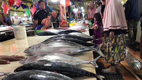 Ini Harga Ikan Cakalang Terkini Di Ternate Rabu 13 April 2022