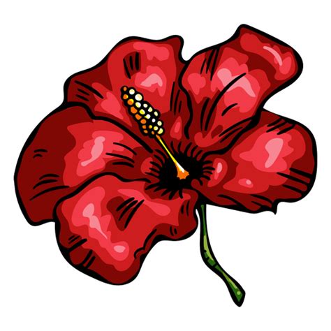 Hibiscus Vector Png