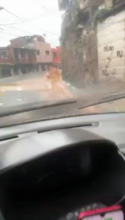 2 VIDEO Fuertes lluvias causan estragos en la vía Santo Domingo