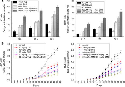 Effects Of Dmc And Or Tmz On Cell Proliferation In U And U Cells