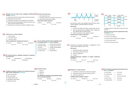 Solution Destek Ve Hareket S Stem Ve Ley Ali Ma Sorulari Studypool