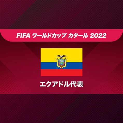 エクアドル代表 サッカーワールドカップ 日程・結果 Nhk