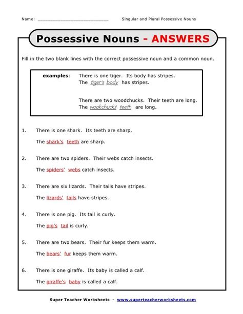 Singular Plural Possessive Noun Worksheet