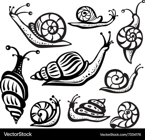 Set Of Black And White Snails Royalty Free Vector Image