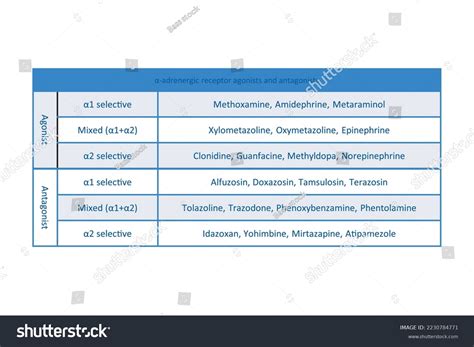 Table Showing Classification Of α Adrenergic Royalty Free Stock