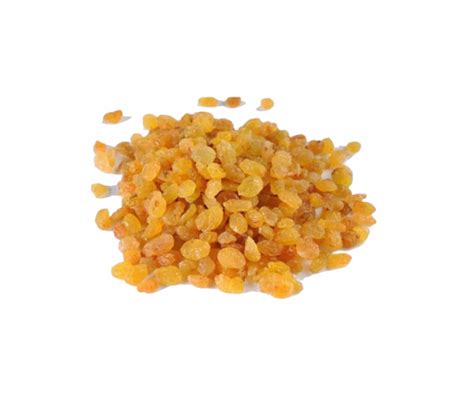 Golden Raisins Spice Nest Ginger Garlic Paste Manufacturers In India