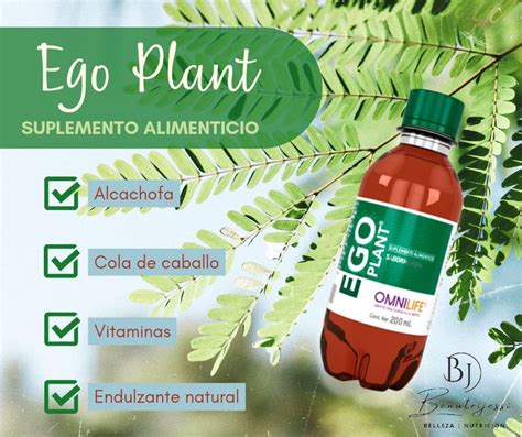 Ego Plant De Omnilife En Omnilife Productos Para La Salud